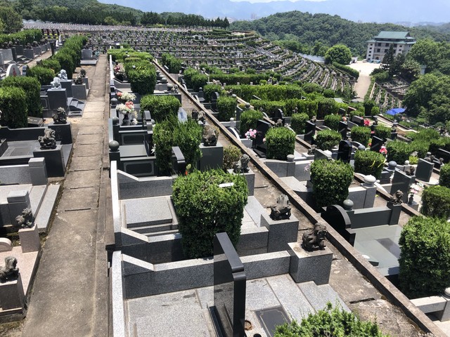 坟上有洞有什么寓意,老祖宗坟墓有洞预示着什么