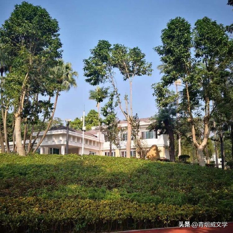 鹧鸪天诗词大全,鹧鸪天咏秋的原创诗词