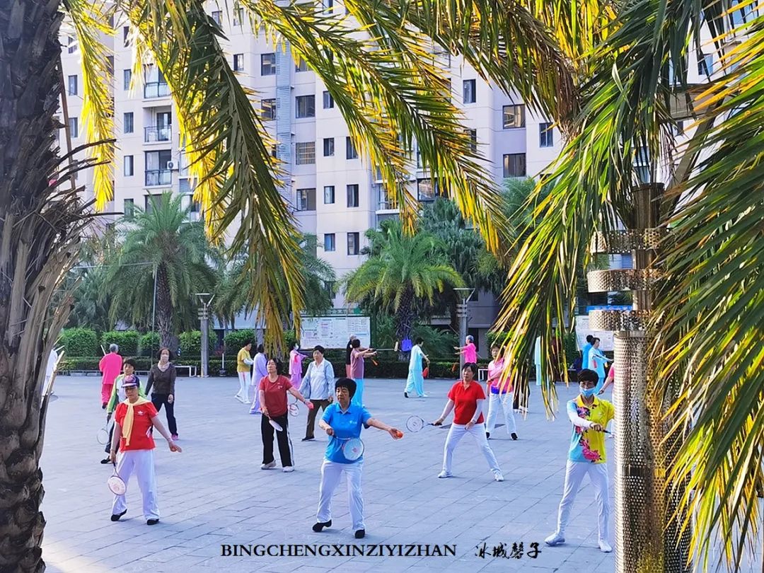 旅居海南：九所新区的浪漫情