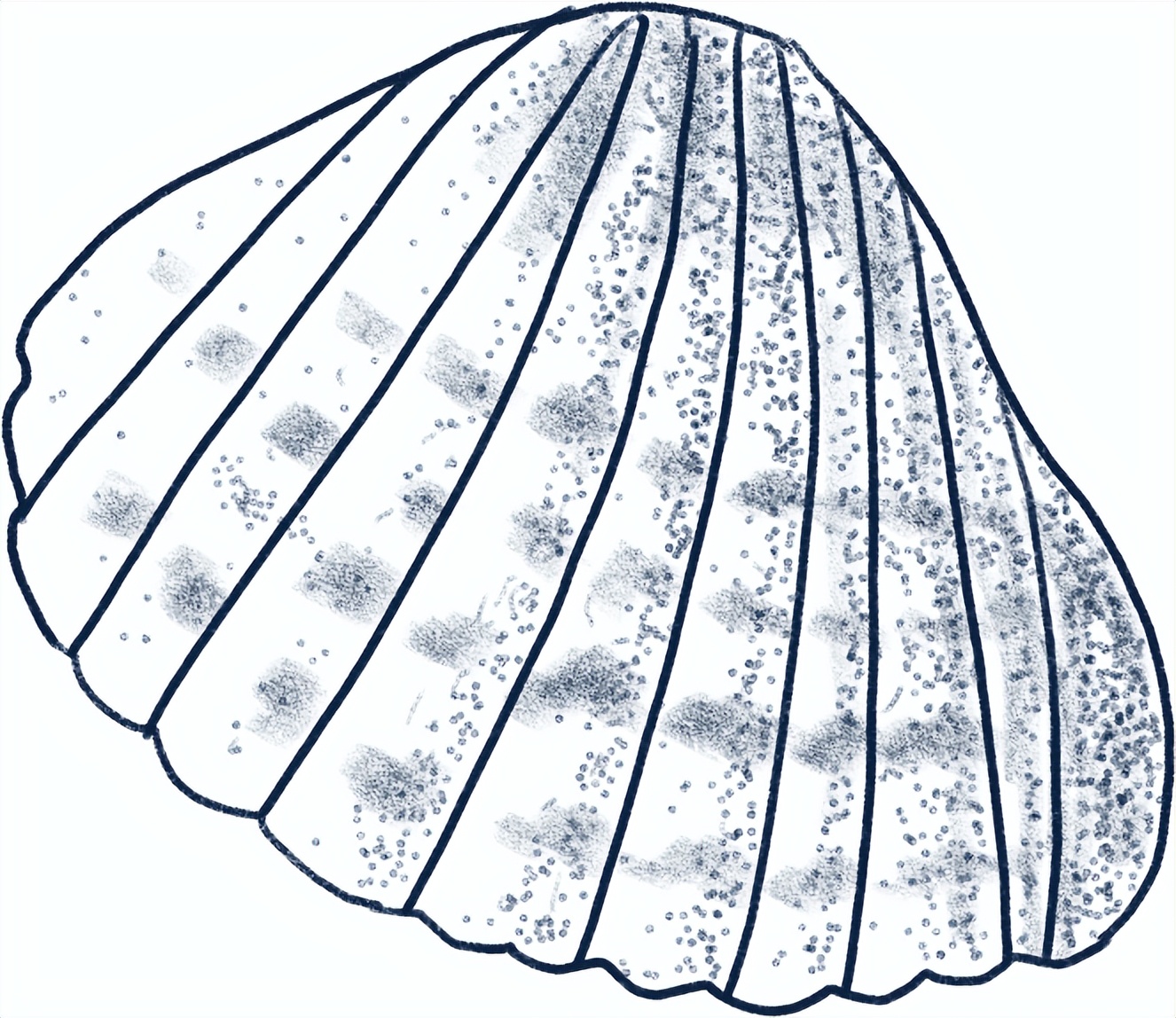 水沙涟·海鲜啤酒季丨夏日呈现青岛风情十人海鲜套餐