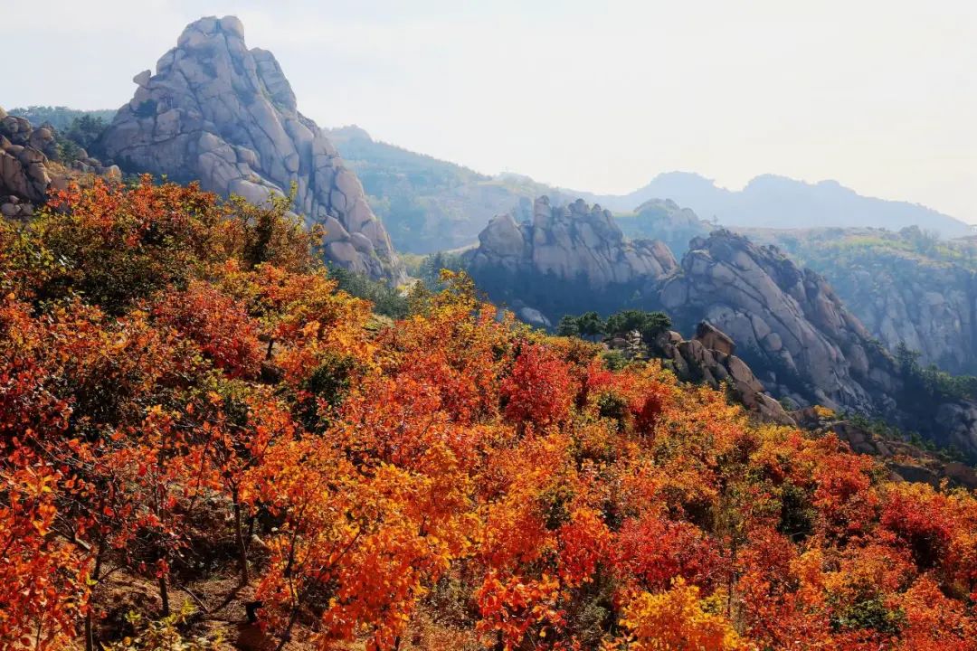 太和夏庄旅游景点,城阳夏庄太和景区