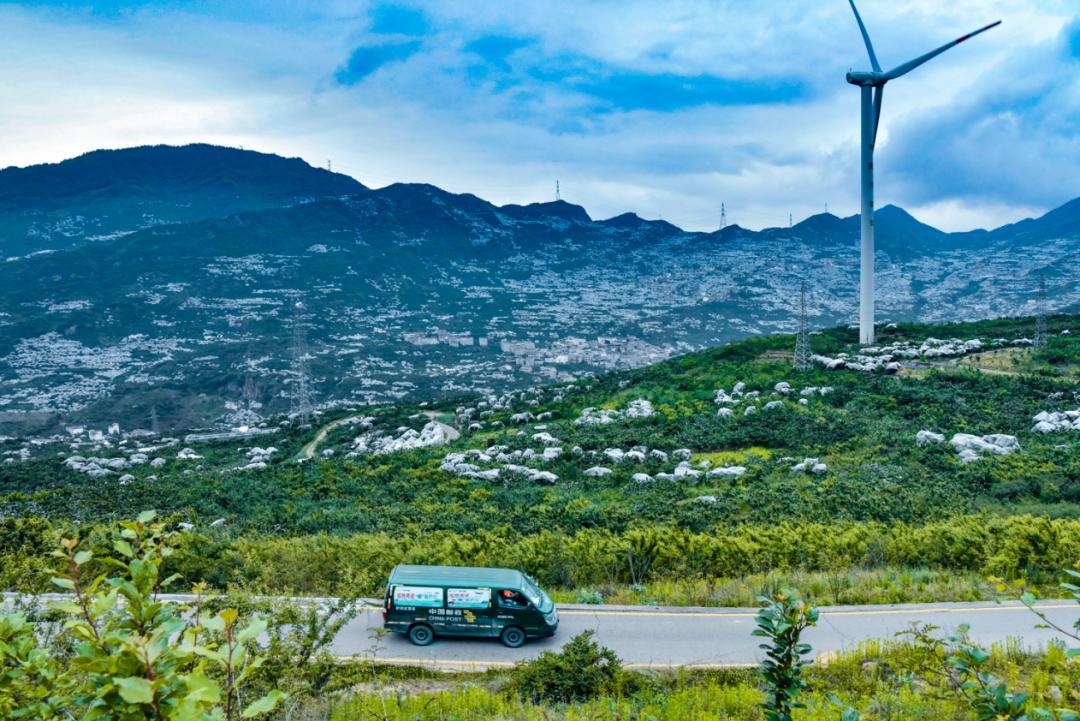 “山里红”樱桃甜又甜——“新农人”任素茂奋斗创业背后的邮政故事