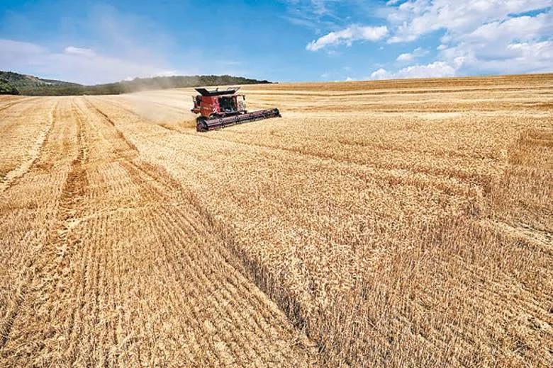 粮食贸易危机加剧视频,粮食贸易危机加剧