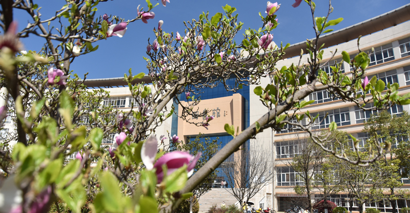 曲靖师范学院在哪个区,曲靖师范学院是在哪里的