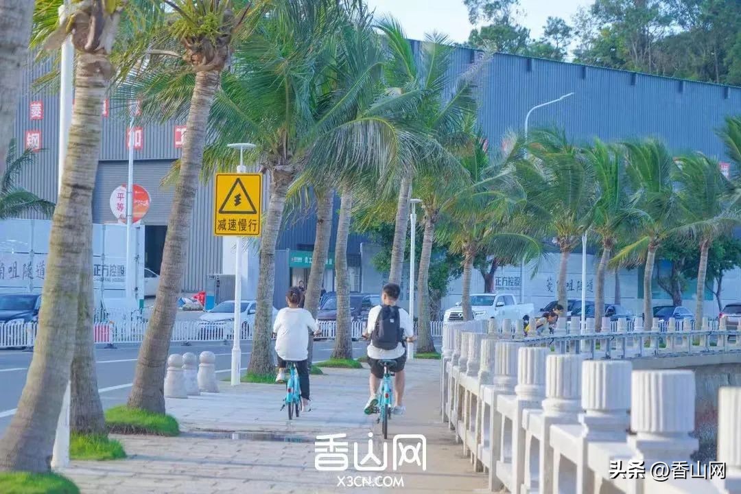 2023年，珠海这些通通免费！