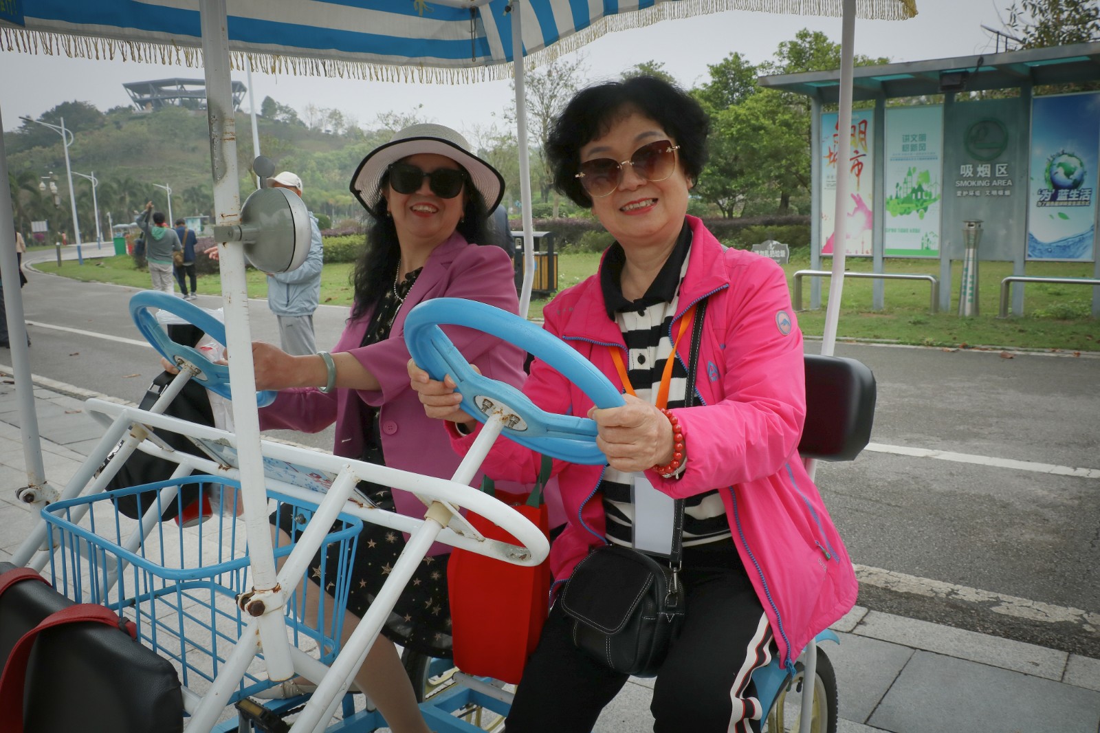 混入老年旅行团,年轻人混入老年旅游团