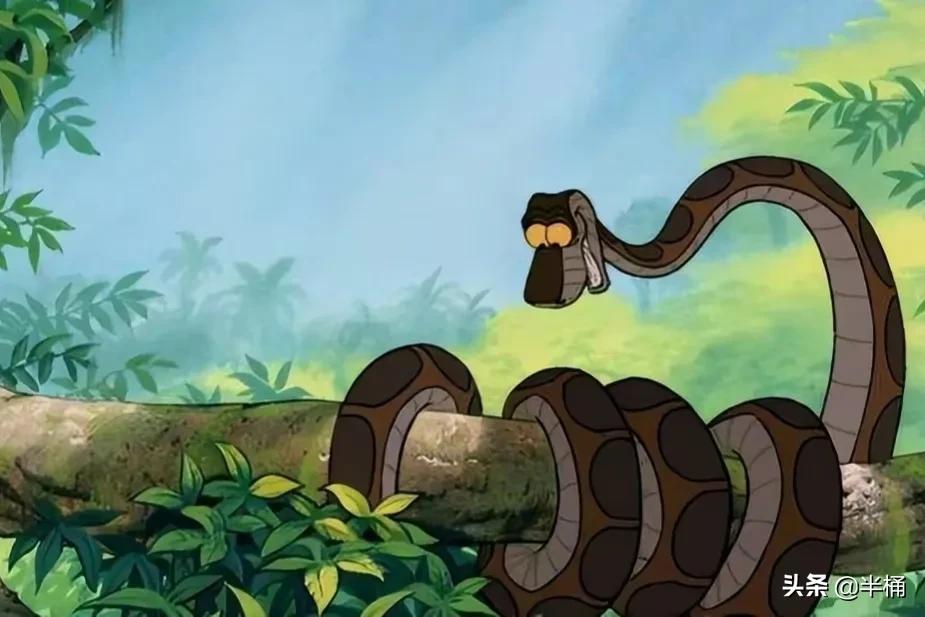 蛇出没的地方怎样预防,野外遇到蛇注意事项