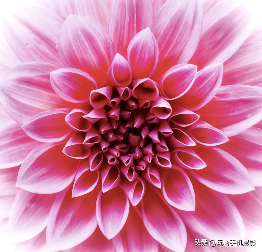 手机单反镜头有用吗,手机镜头跟单反有何区别