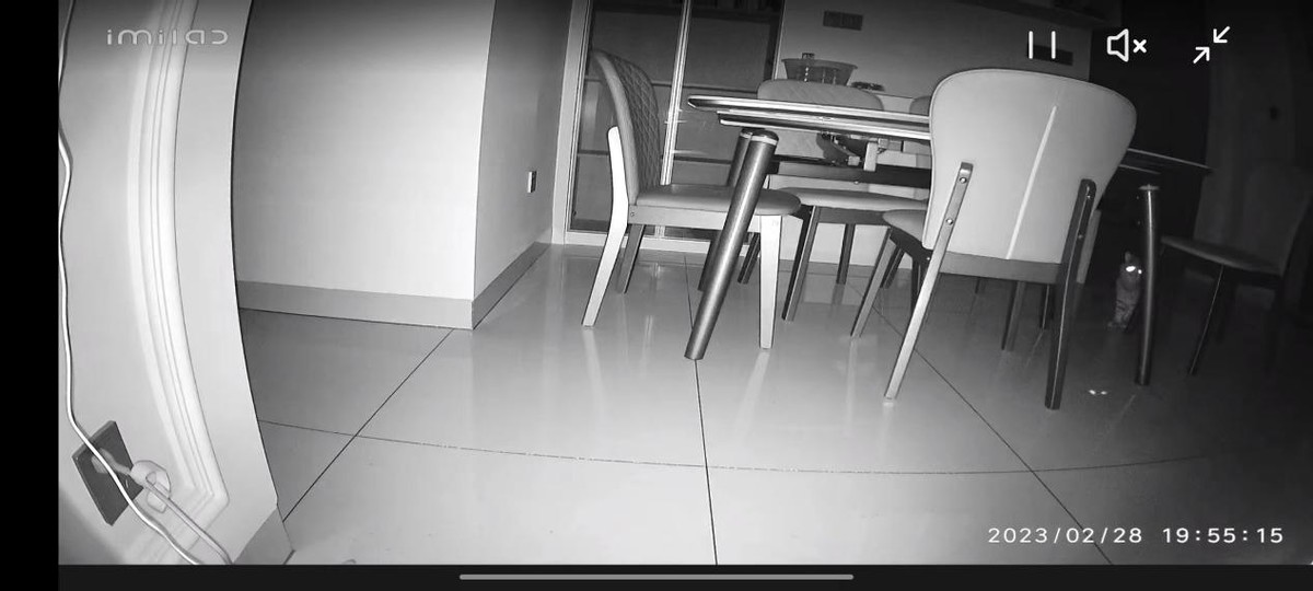 小白智能摄像机y3怎么智能分享,小白智能摄像机云台版y3有开关吗