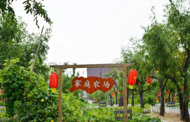 小县城干什么生意,适合县城做的生意