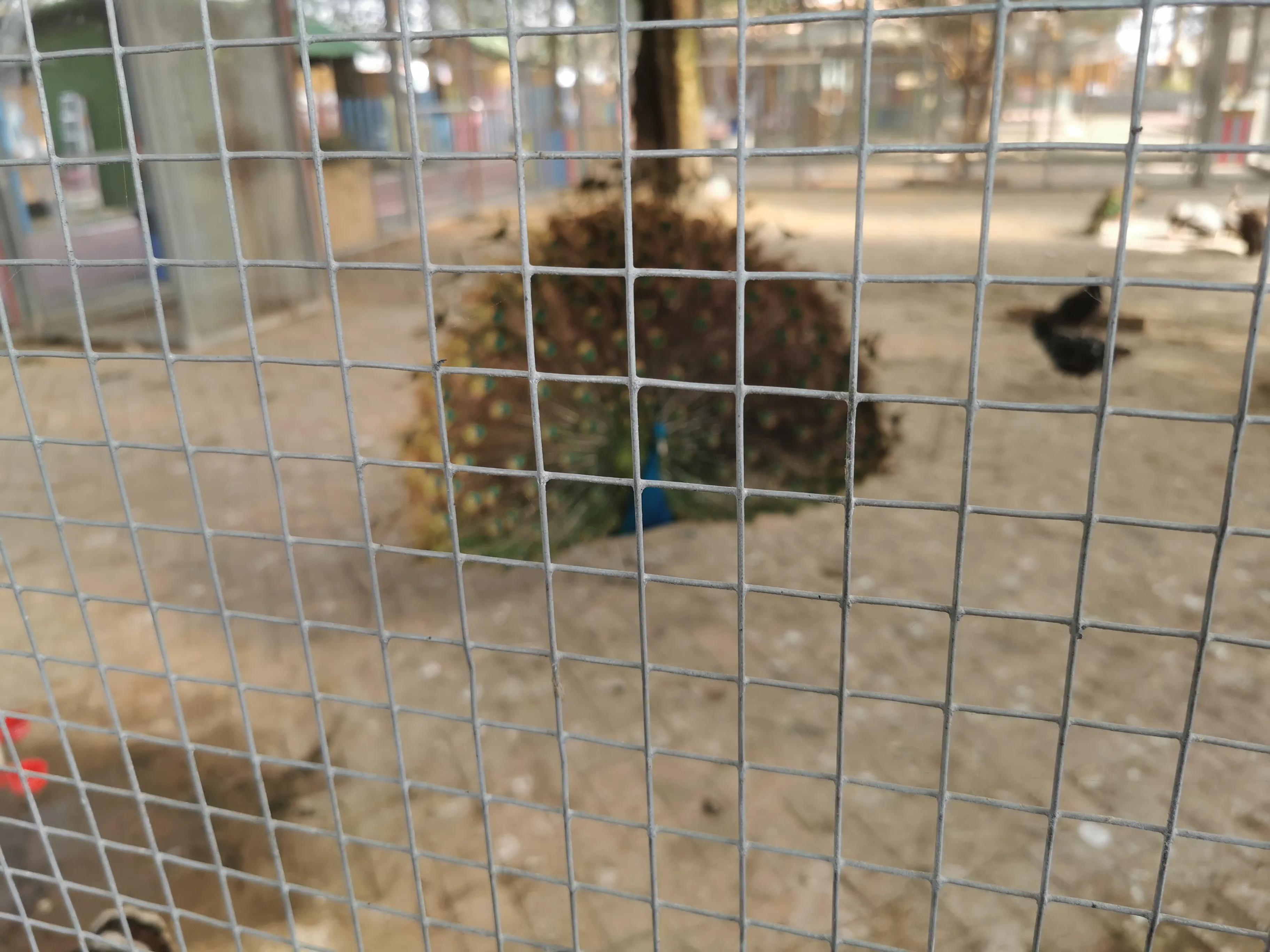 该不该给农民发钱,农村每年给农民发钱