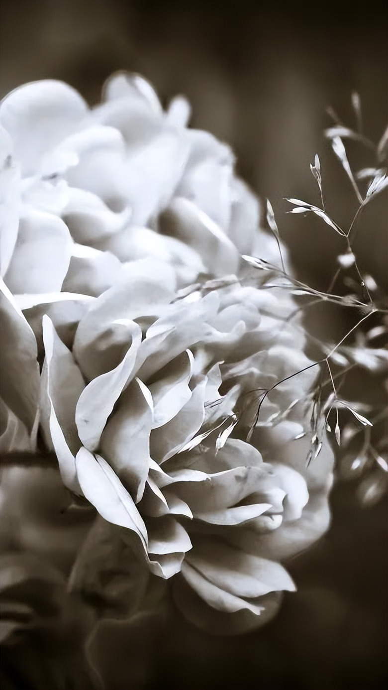 黑暗系壁纸黑底文字,黑暗色系的壁纸