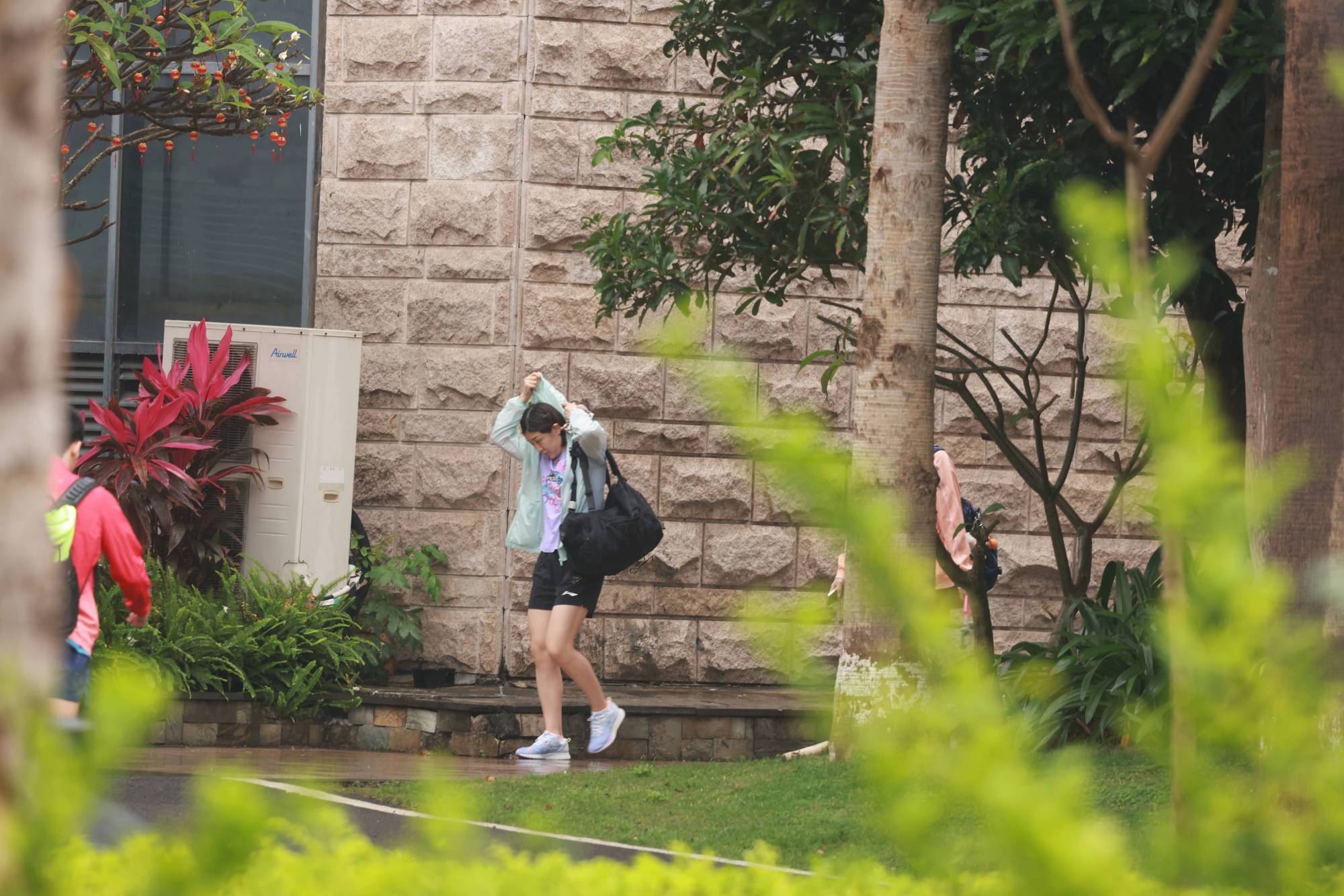 2023国乒威海热身赛陈梦削球,陈梦3-0横扫日本削球名将