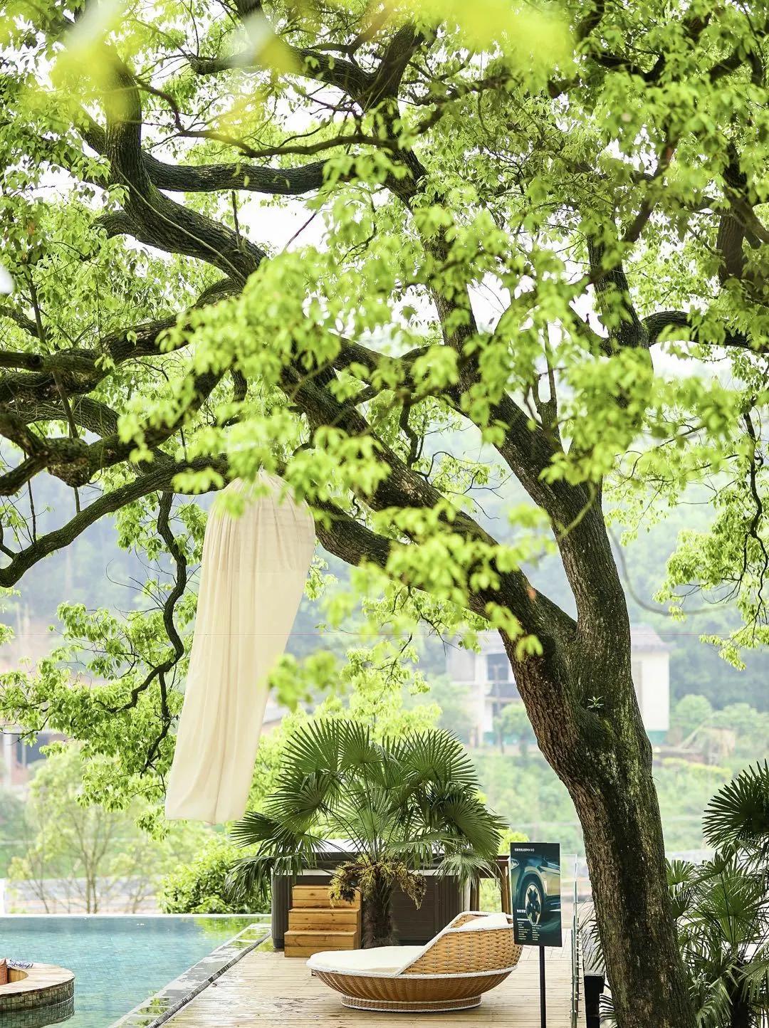 神仙眷侣辞掉高薪工作，爆改废弃山谷，悬崖高空造无边恒温泡池