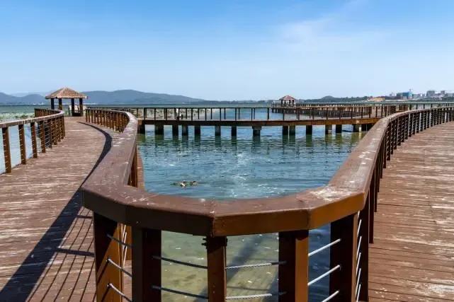 陵水的这些小众景点你会选哪个呢,海南旅游小众城市陵水哪里