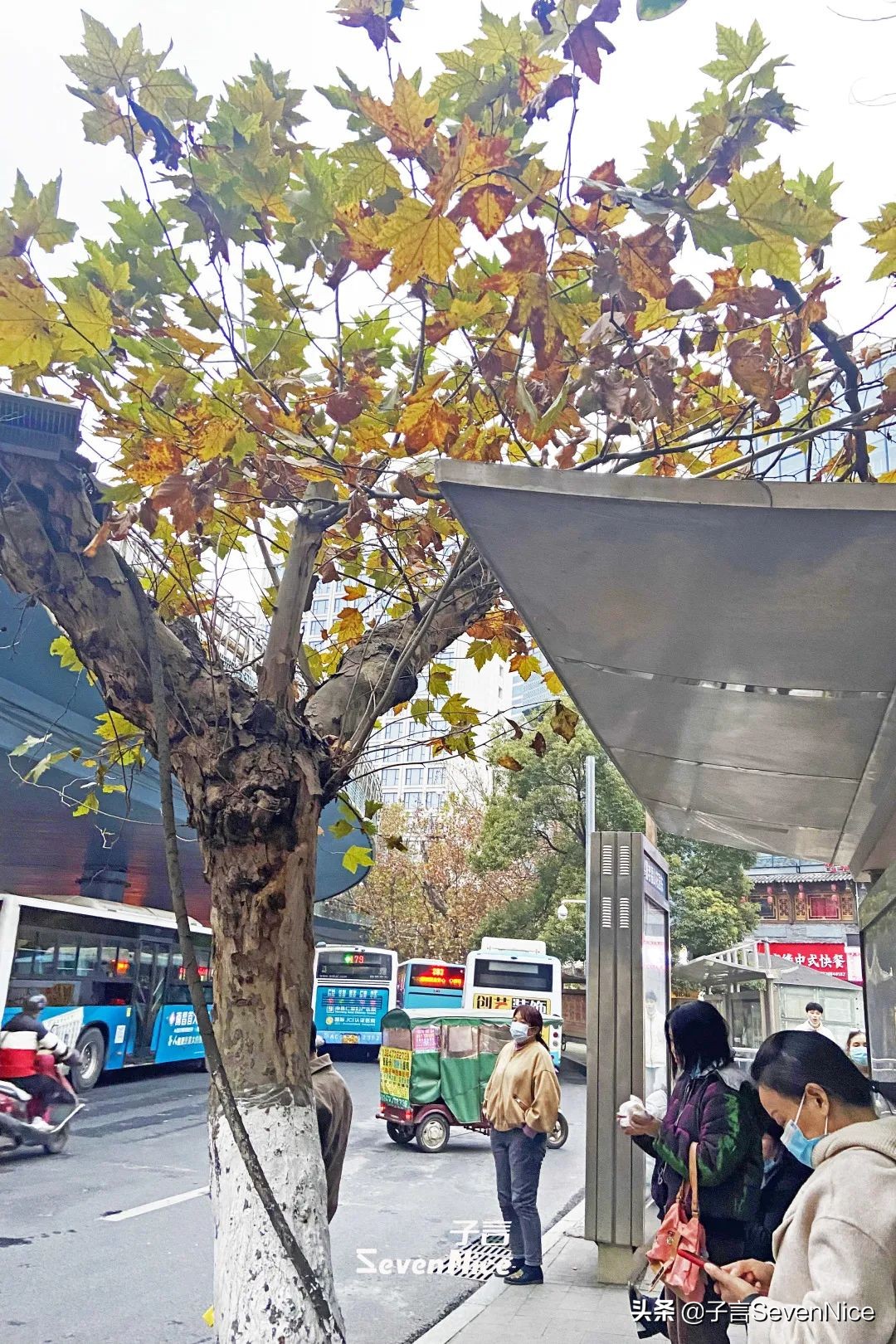 再见你粤语歌曲,再见你日语歌