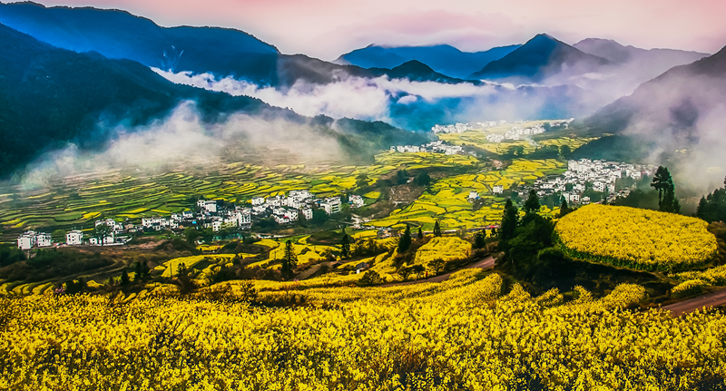 婺源摄影写真,2019梦幻之秋婺源三天摄影创作团