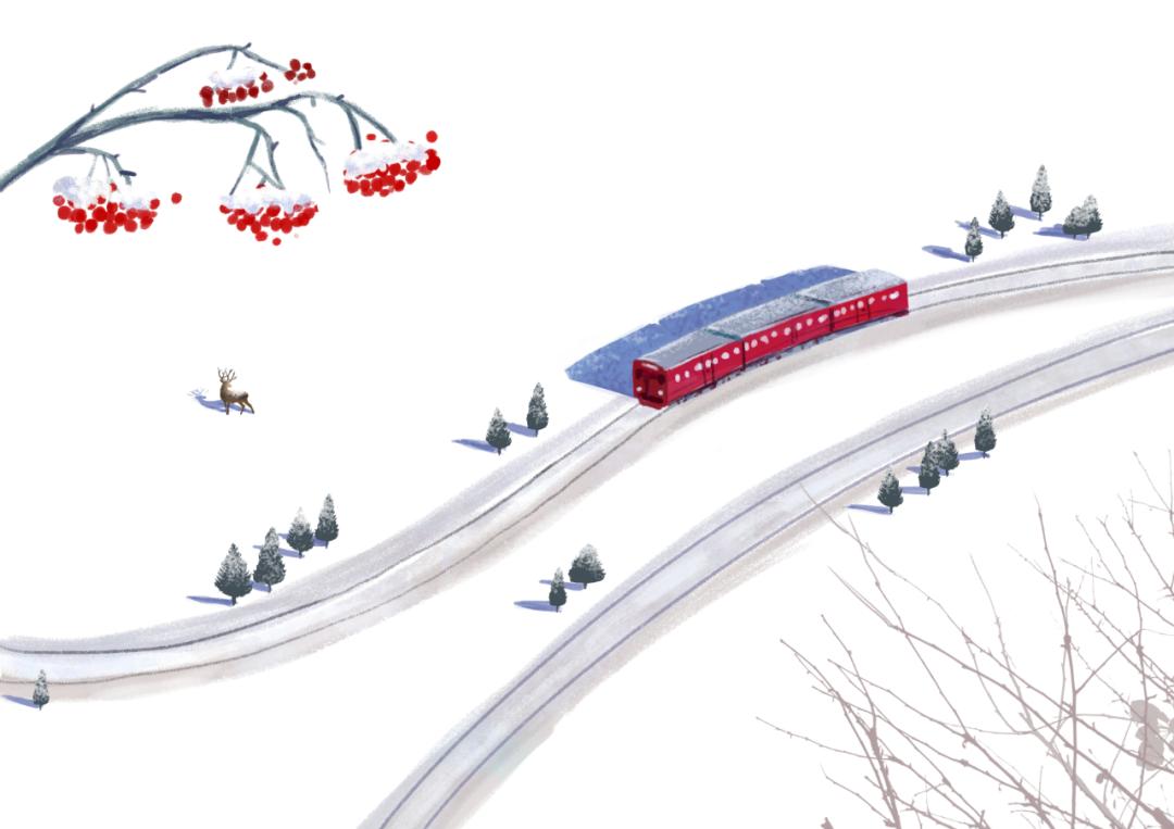 去哪看极光最好的地方,去哪里看极光最好的地方