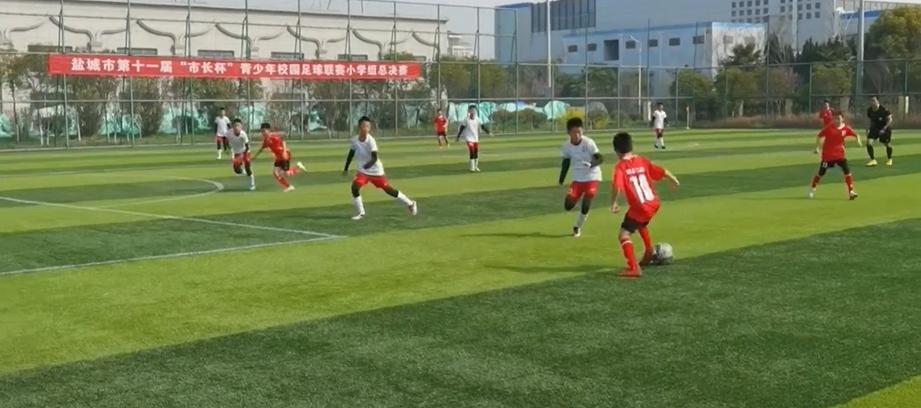 小初高提分王,小初高录播