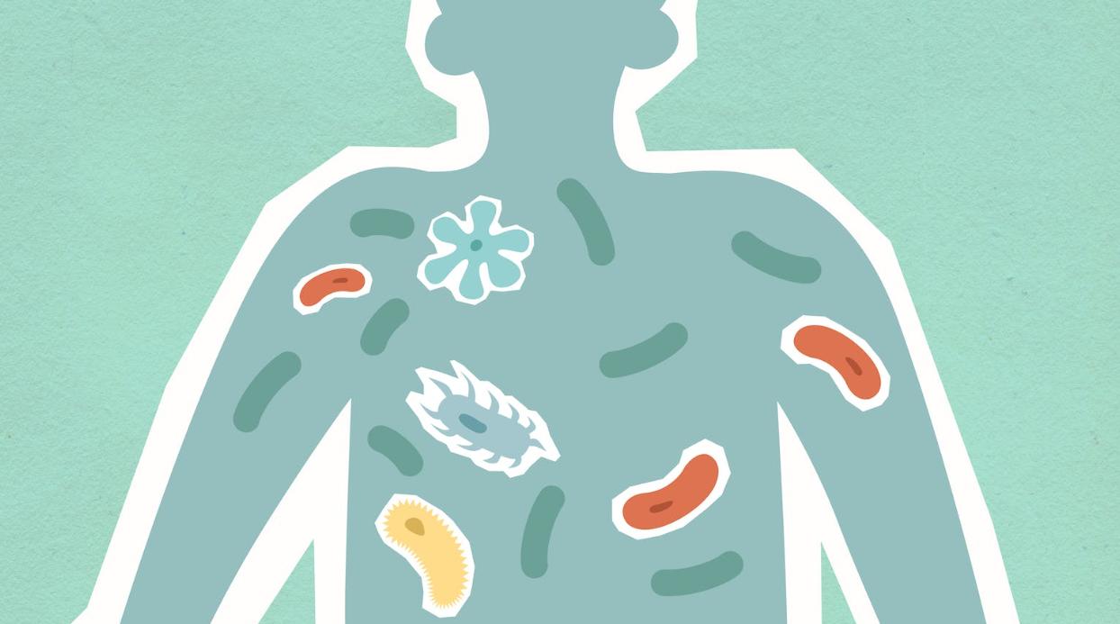 基于“伏邪学说”，探讨中医对慢性萎缩性胃炎的治疗方法