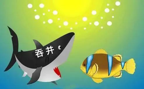 民办园自救之道（十八）:优化整合