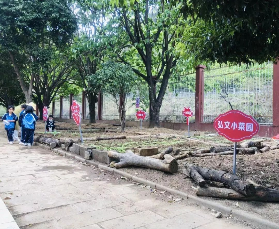 绿美太邑蔬香校园