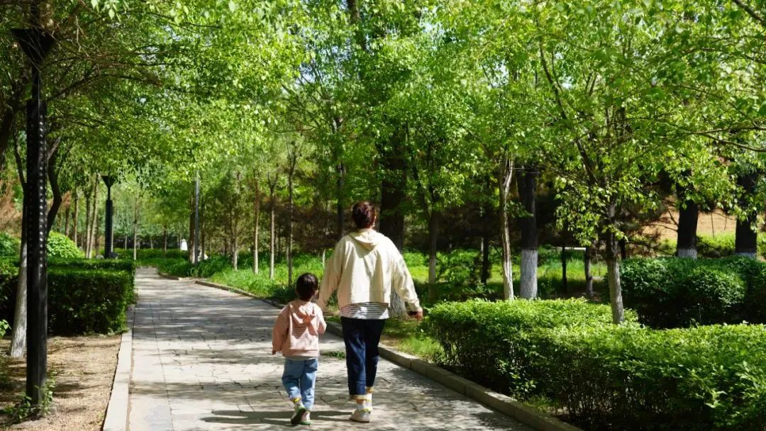 央媒网友热议,央媒密集关注点赞福建