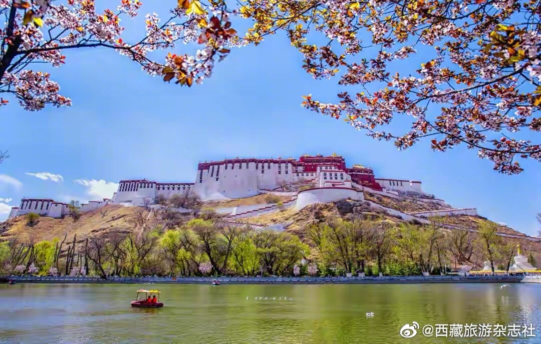 布达拉宫门票怎么网上预约,布达拉宫门票免票时间表