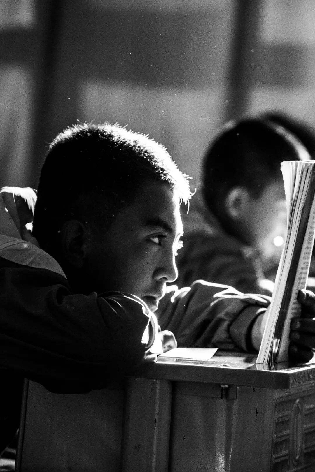 人生的路上需要学会采蜜,人生的路上要学会采蜜