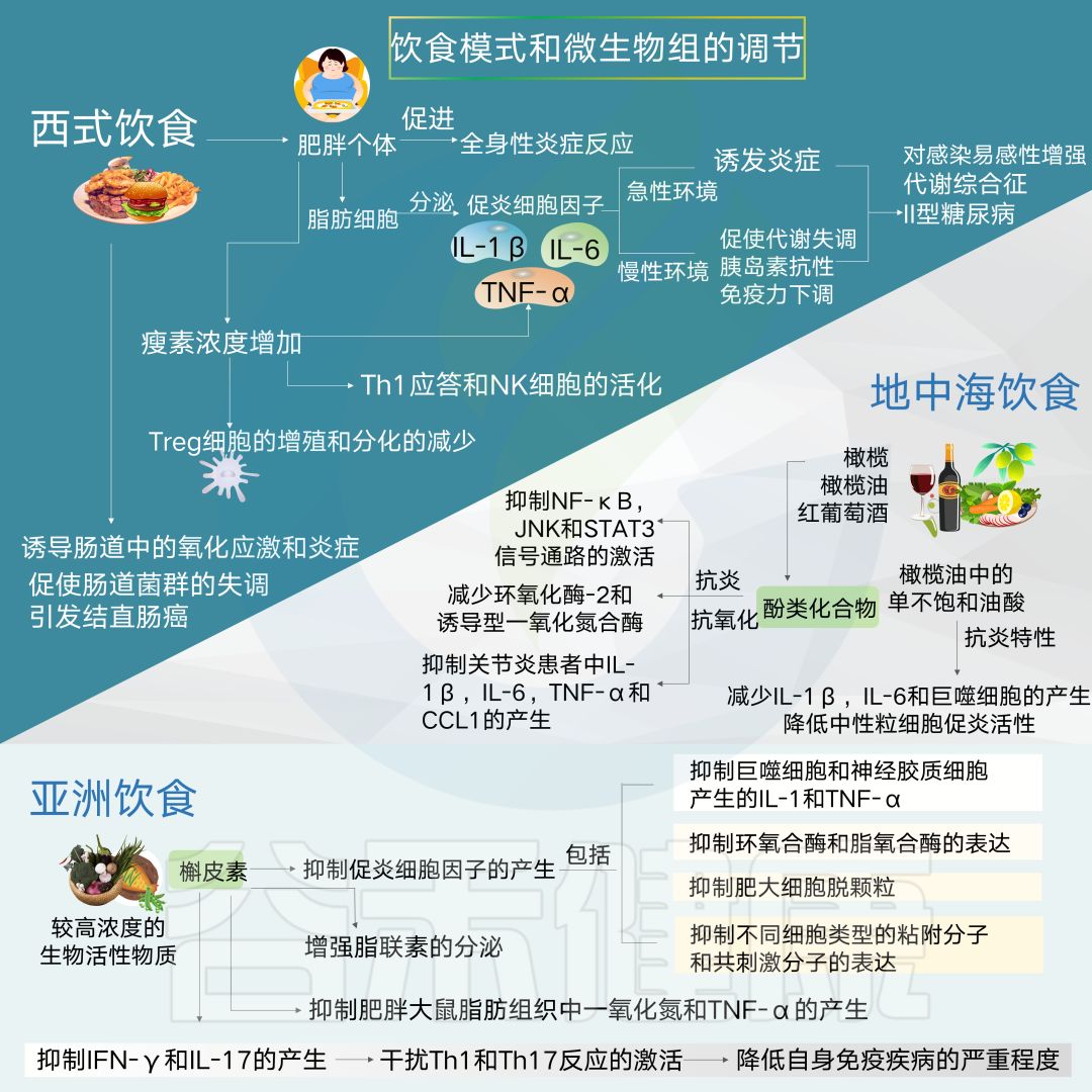 一文涵盖:宝宝大脑发育差异背后肠道菌群的故事