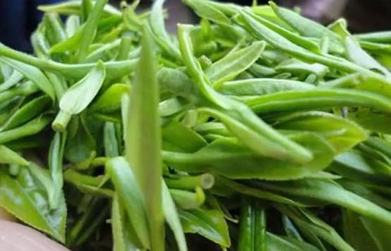 茶叶“造假”实在猖狂！这2种假茶，别再不知道！很多人还天天喝