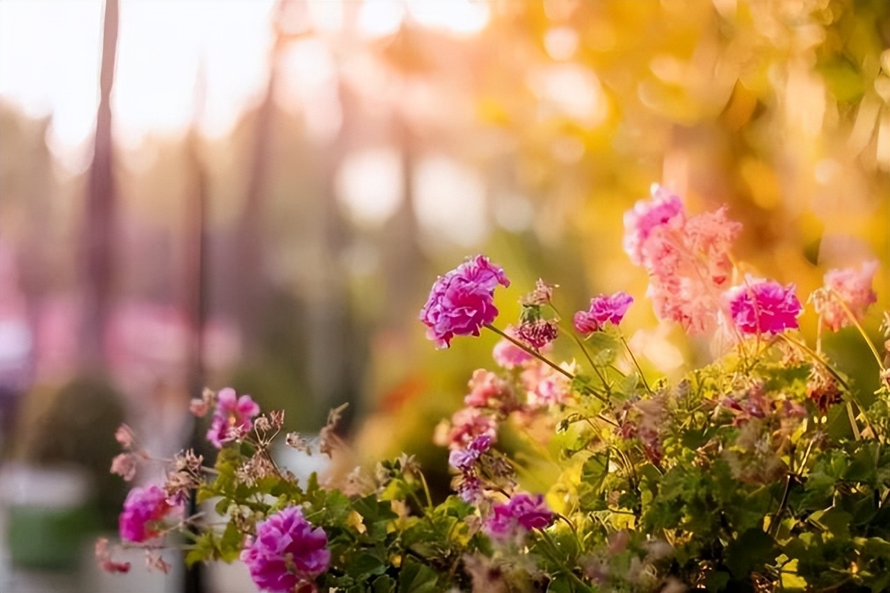 别人说谢谢你不客气怎么回,别人对你说不客气你要怎么回复