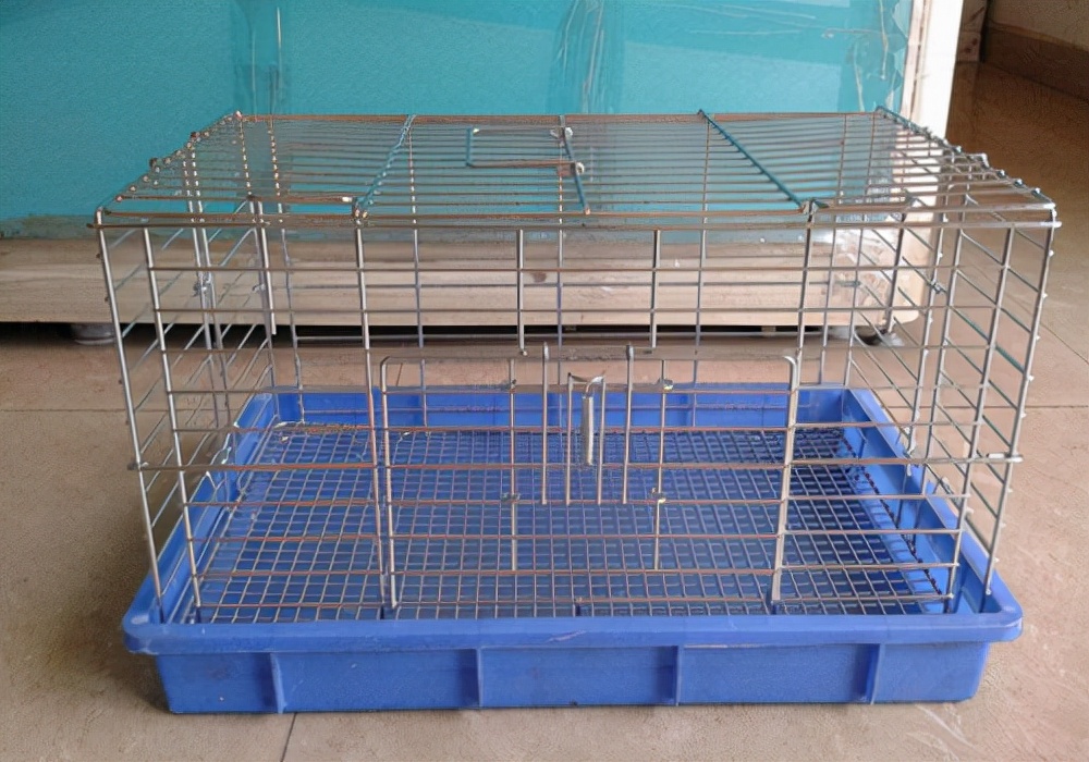 狗身上有癣怎么办用什么药好,人被染上狗癣的症状怎么治疗