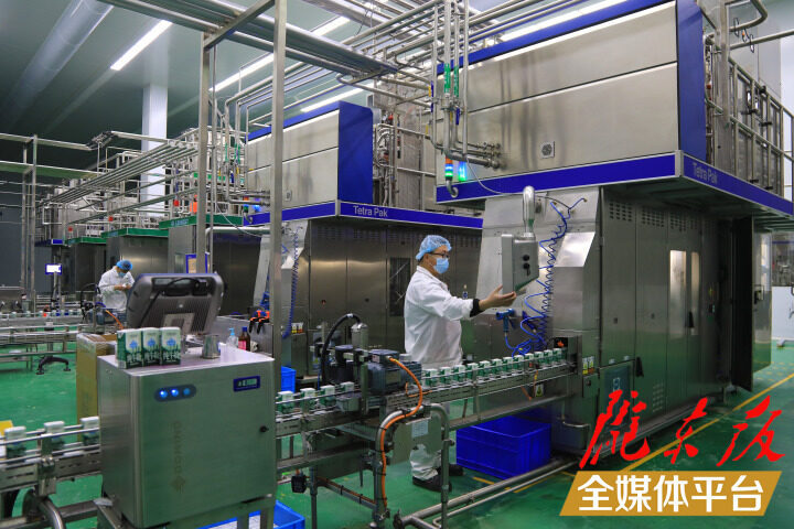 甘肃伟赫乳业新闻,庆阳伟赫乳制品有限公司东方甄选