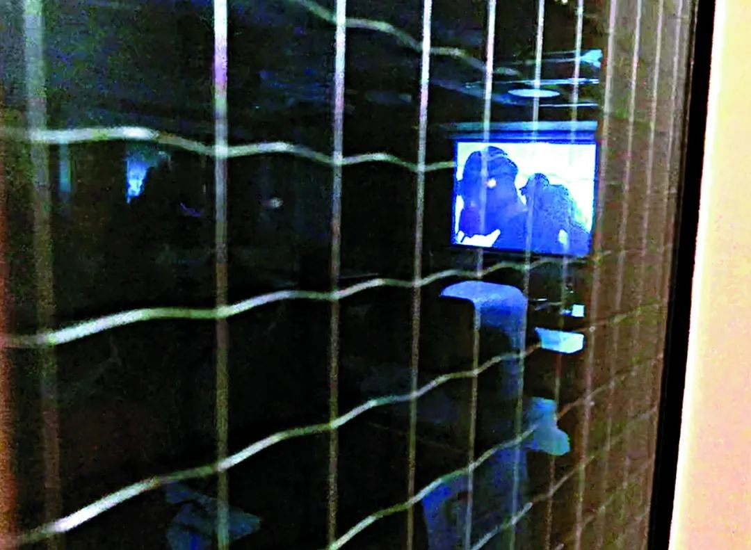 贼心不死结局,贼心不死完整版