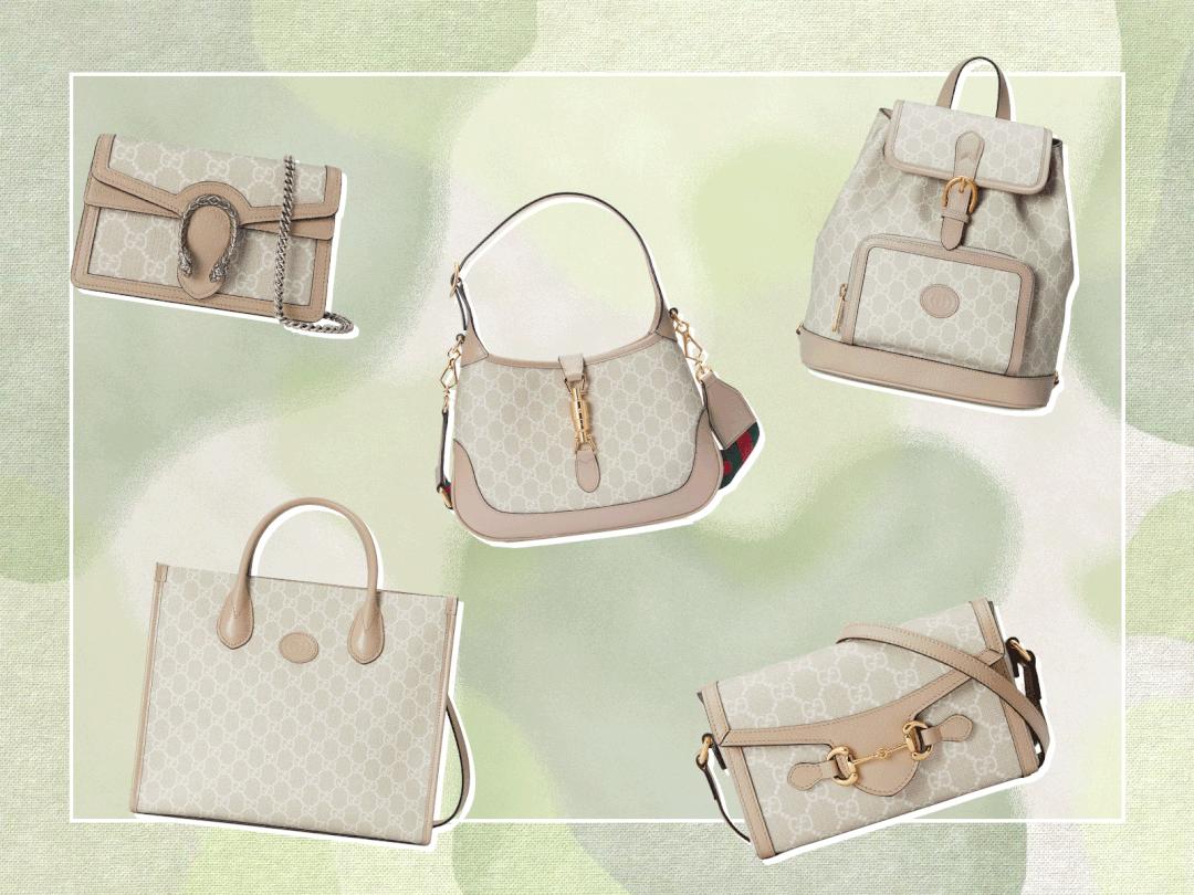 正品圣经,圣经特价