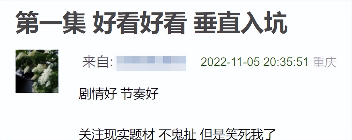 数了数，光一线实力派演员就有15位，这剧一播就牢牢抓住了我眼球