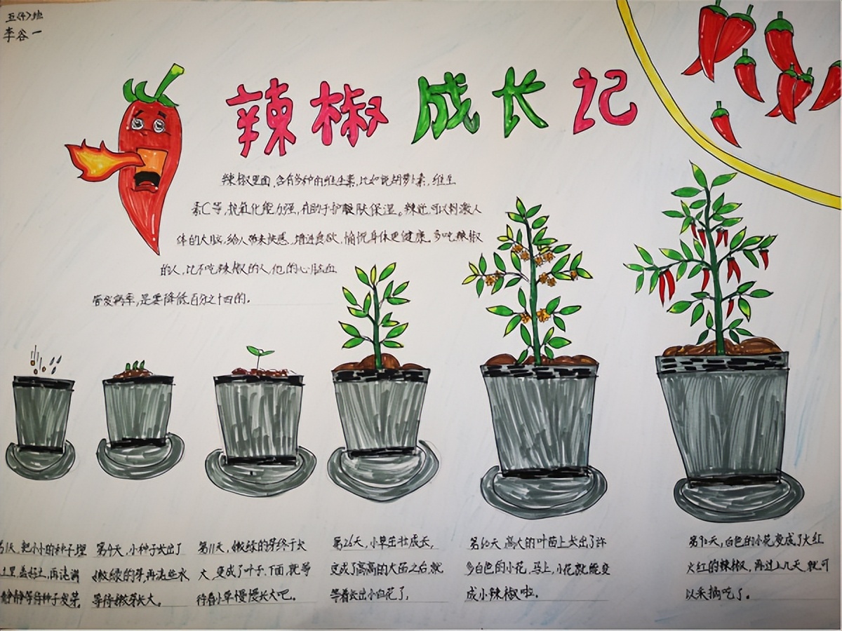 合肥市五一小学:开心耕耘田园幸福“芒种”收获