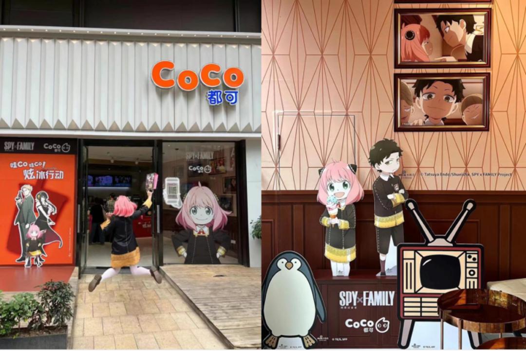 CoCo奶茶加盟费大概多少钱？2023（官网最新）加盟费及加盟条件