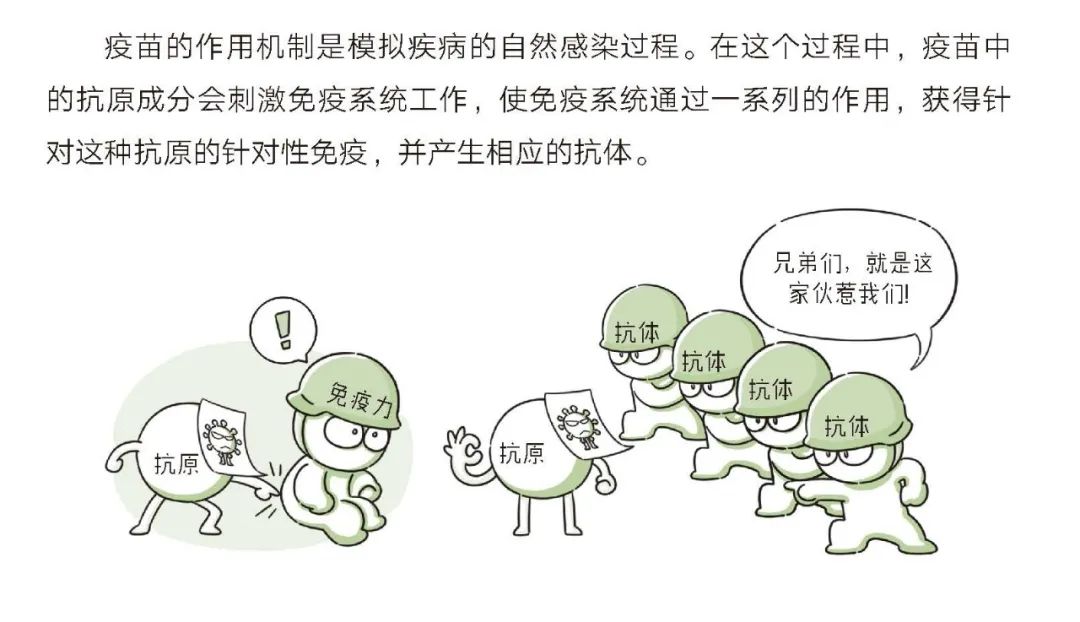 崔玉涛医生教你育儿,崔玉涛育儿专家直播