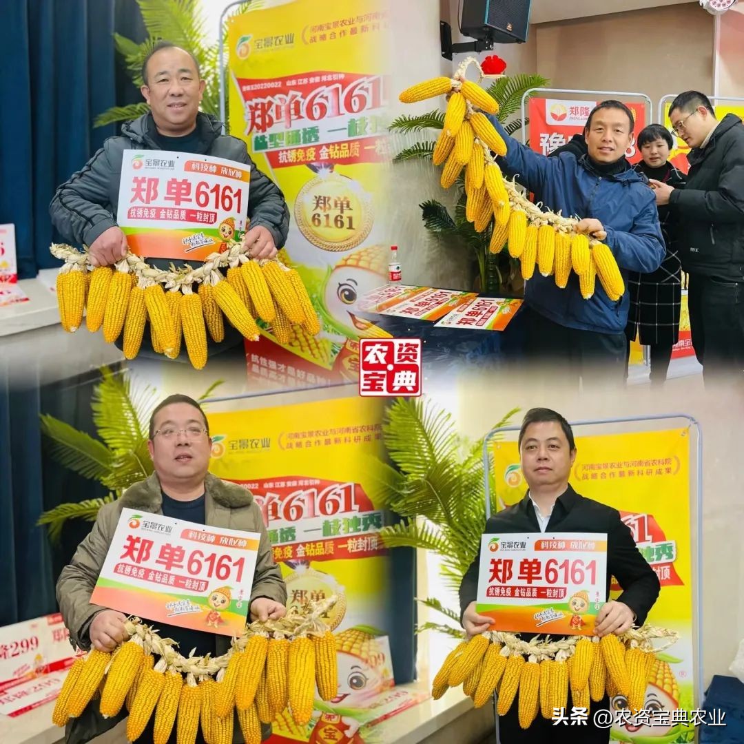 铸牢粮食安全新基石,筑牢粮食安全基石