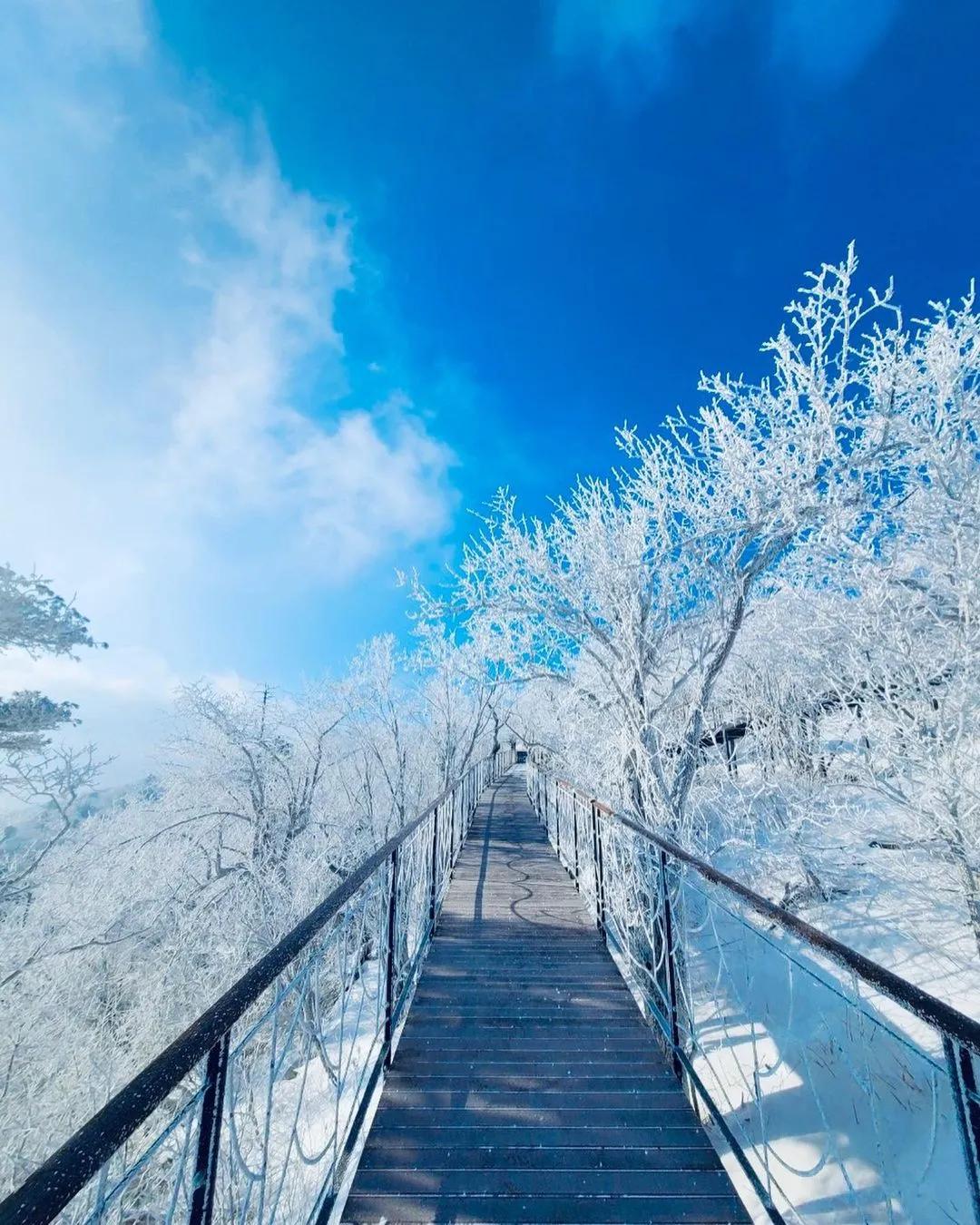 抢不到冰墩墩是什么梗,冬奥会冰墩墩2022