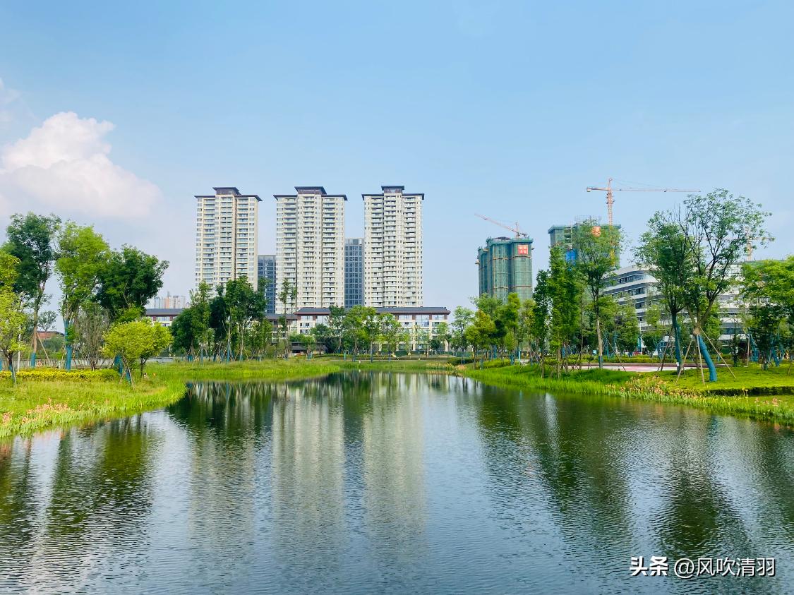 成都哪个区房价低一些,成都哪个地方房价低适合发展