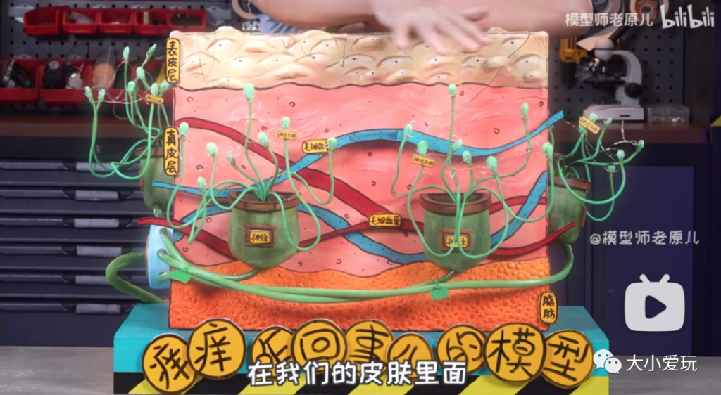 从科普到各学科，我们为孩子集齐了B站最强学习资源！记得收藏