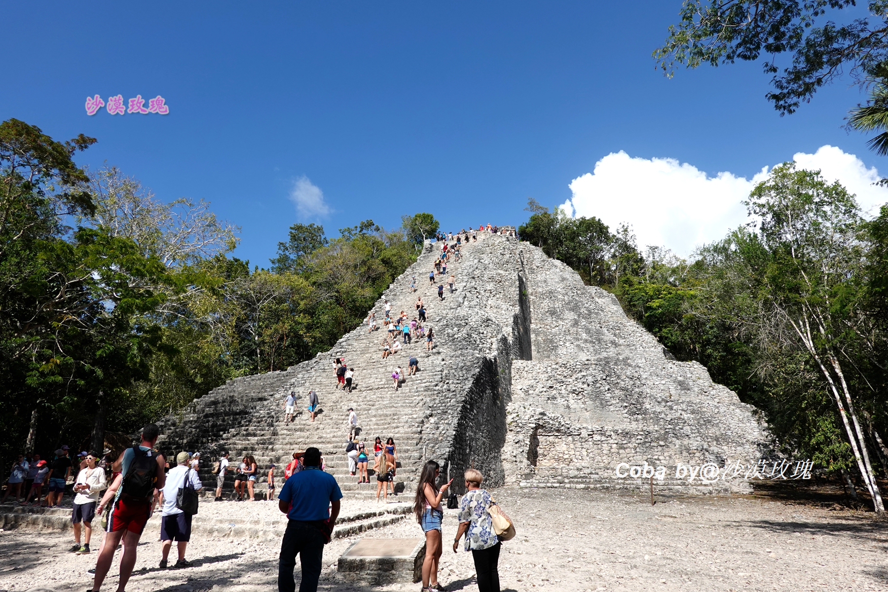 墨西哥有多血腥,墨西哥最凶残的黑历史