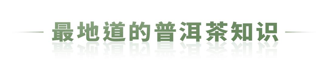 老茶开仓,老茶出仓