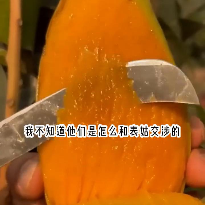 超级好看小说抢先看,炒鸡好看小说结局