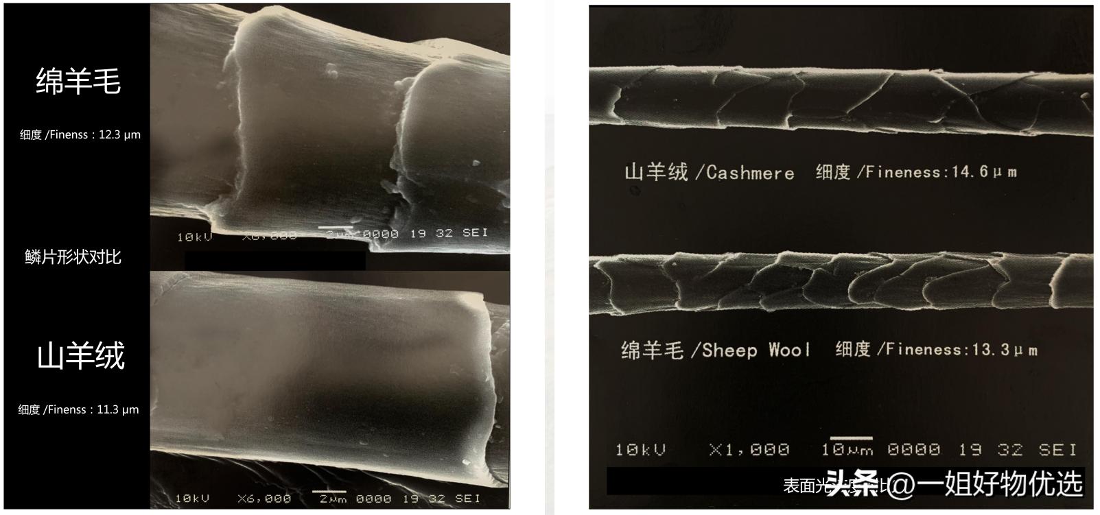 红围巾头像,红围巾