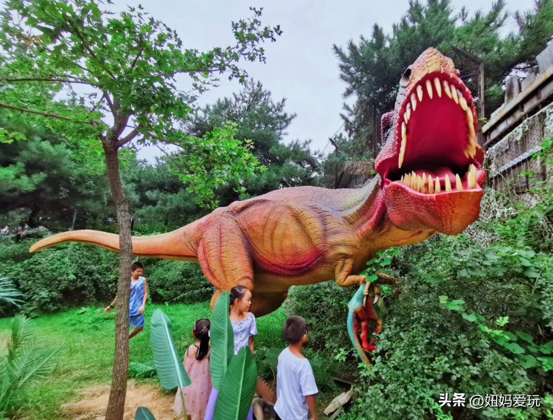 初冬的济南南部山区游玩攻略,济南南部山区旅游攻略