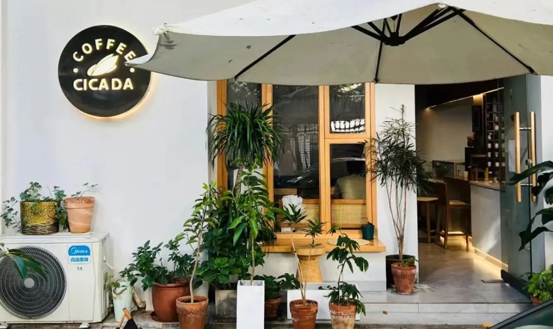 一年开7000家的咖啡店是奇迹,一年开5家餐饮